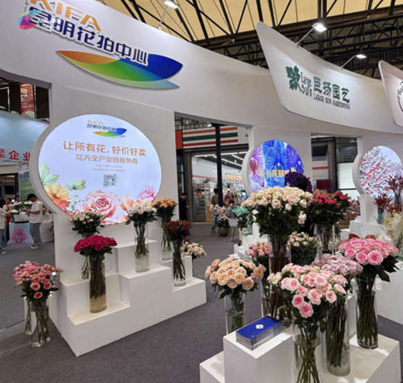 花卉展